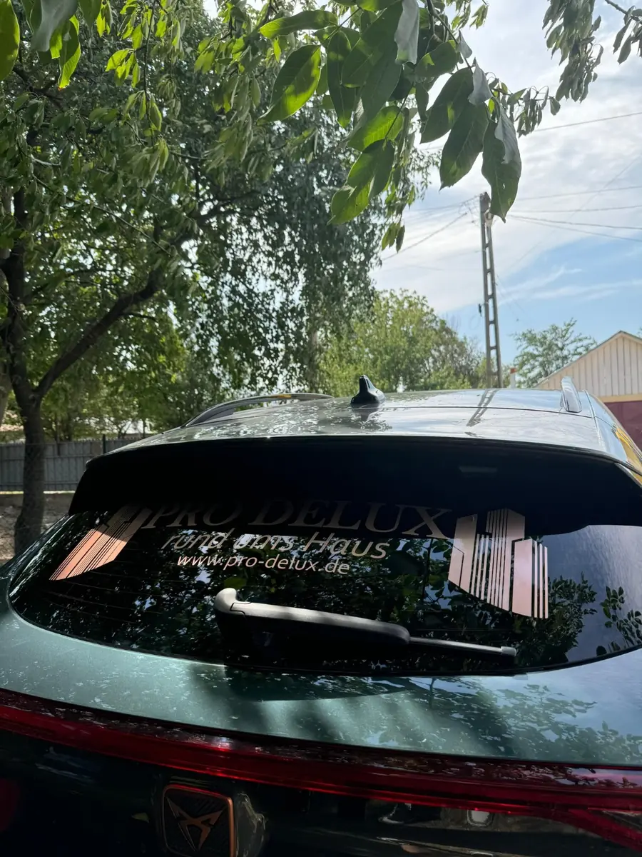 Logo și website aplicate pe luneta unui autoturism